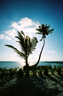 Ambergris Caye, Belize
